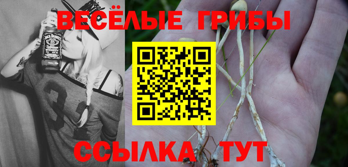 Волоколамск  Галлюциногенные грибы Psilocybe  купить наркотики цена  Вход с VPN 